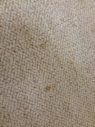 c0157540_15204094.jpg