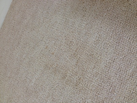 c0157540_1521991.jpg