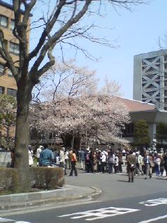 e0007242_11399100.jpg