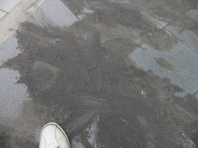 e0173645_8452520.jpg
