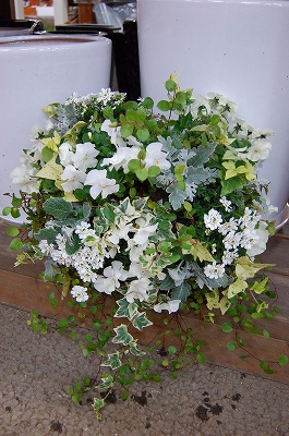 e0025655_5541441.jpg