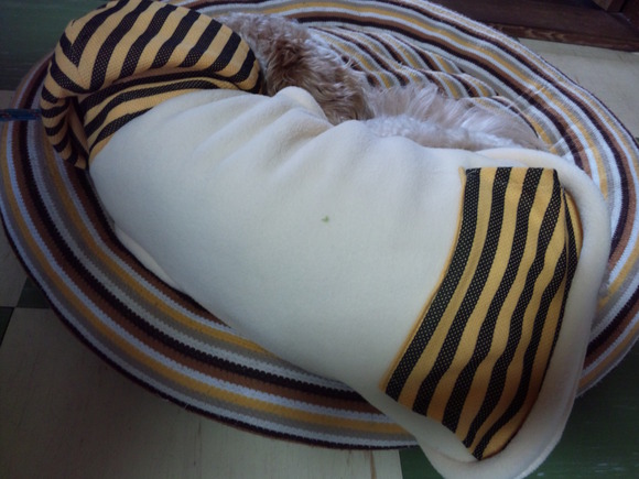 e0213360_21275640.jpg