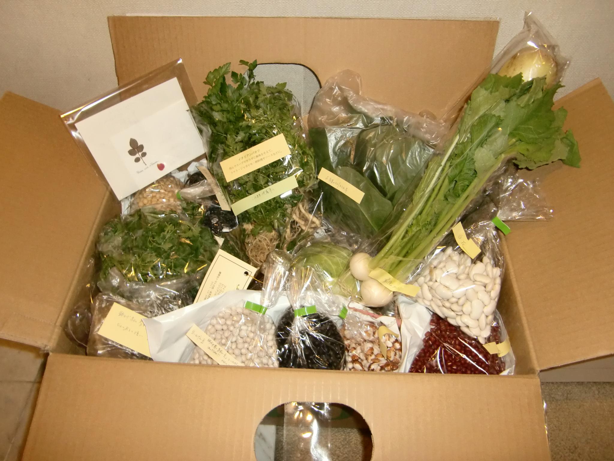 e0133362_23272635.jpg