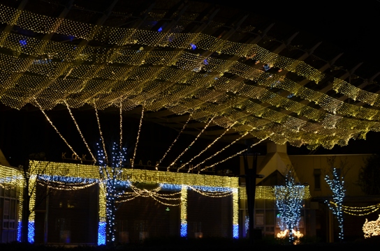 c0186463_17403718.jpg