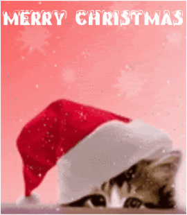 e0072264_5213586.gif