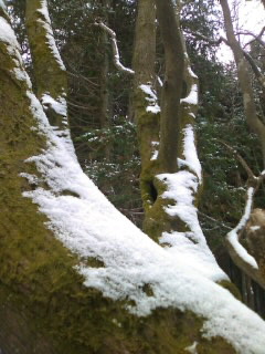 f0061067_2051790.jpg