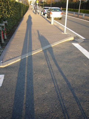 b0069169_132896.jpg