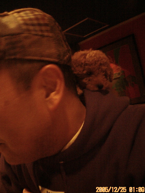 c0162773_1315223.jpg