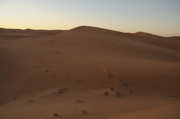 e0066474_2314538.jpg