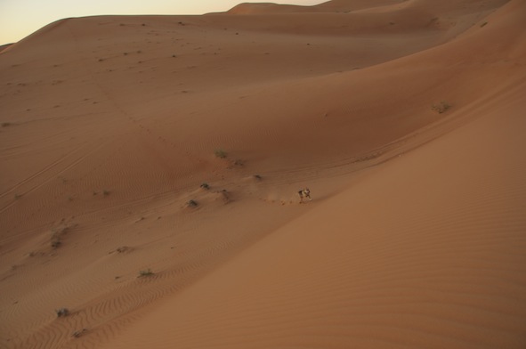 e0066474_23151254.jpg