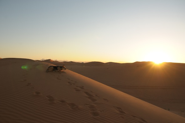 e0066474_23165228.jpg