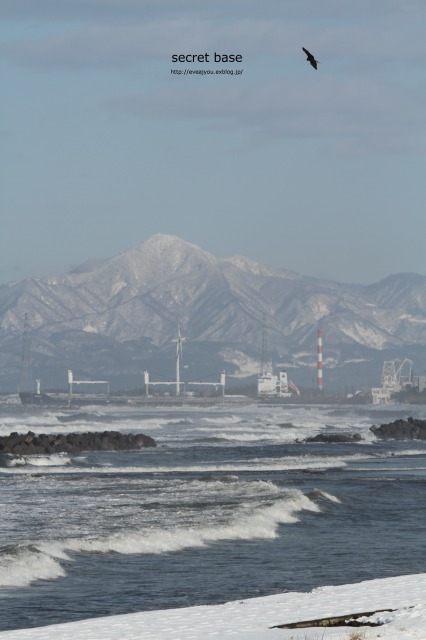 e0218375_1717024.jpg