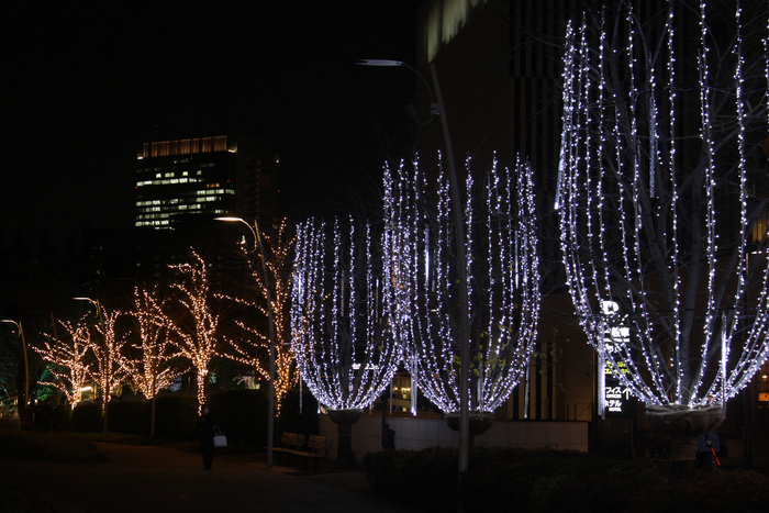 e0112077_7335140.jpg