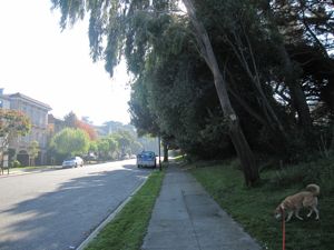 c0188178_4455334.jpg