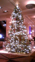 e0060483_20103636.jpg