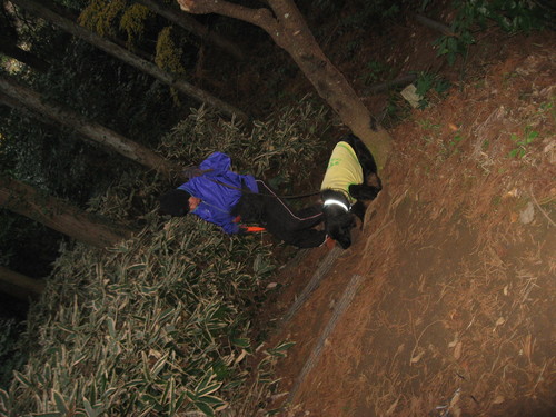 e0140491_17585187.jpg