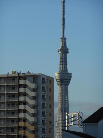 c0028792_0241148.jpg