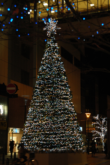 d0234293_8185191.jpg