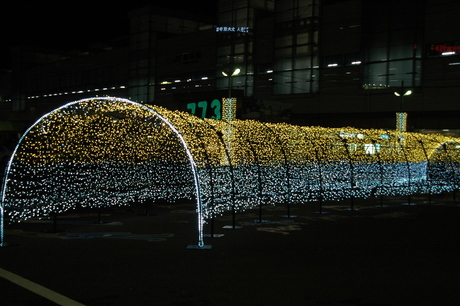d0234293_8233871.jpg