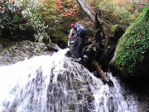 f0187402_2057994.jpg