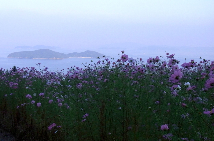 c0197004_1052524.jpg
