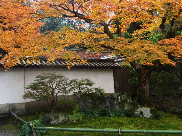 d0154609_11181238.jpg