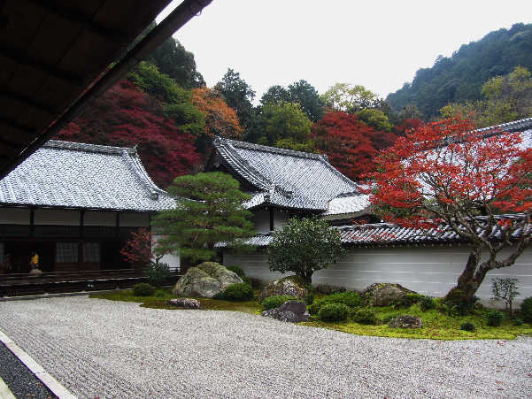d0154609_11194055.jpg