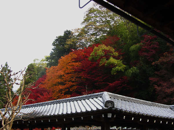 d0154609_1124127.jpg