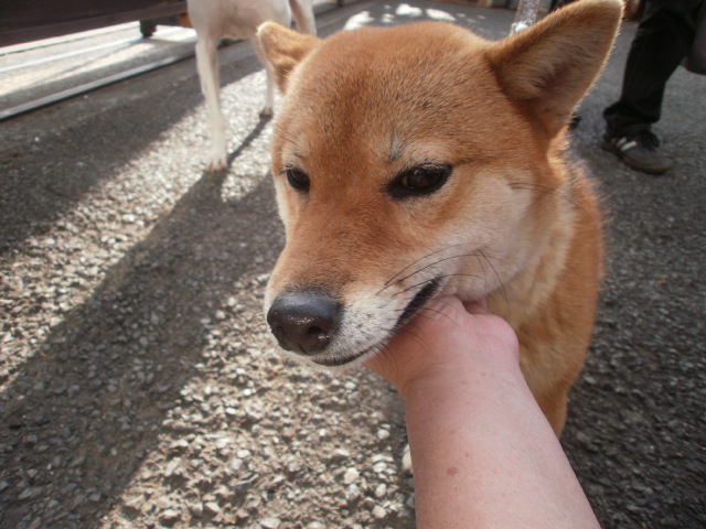 c0116610_127753.jpg