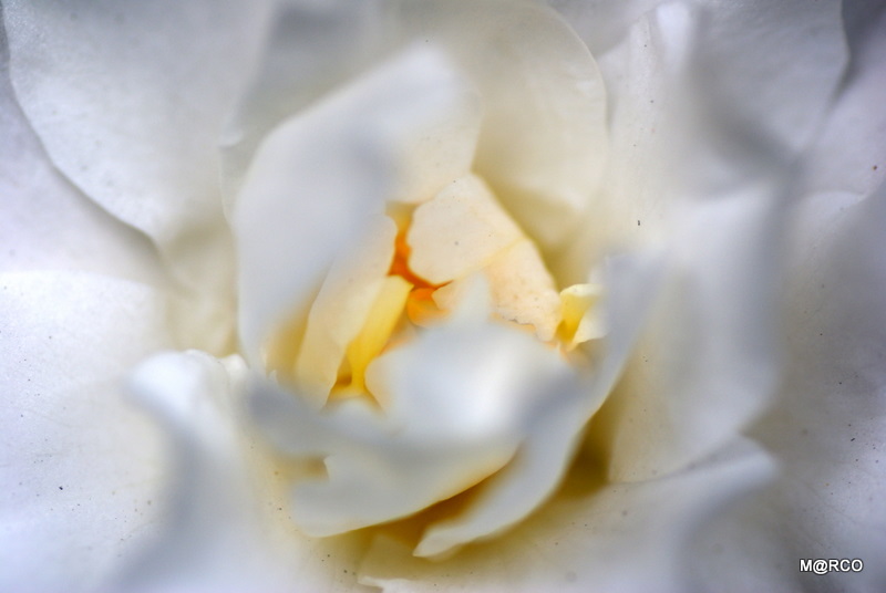 c0037611_1361572.jpg