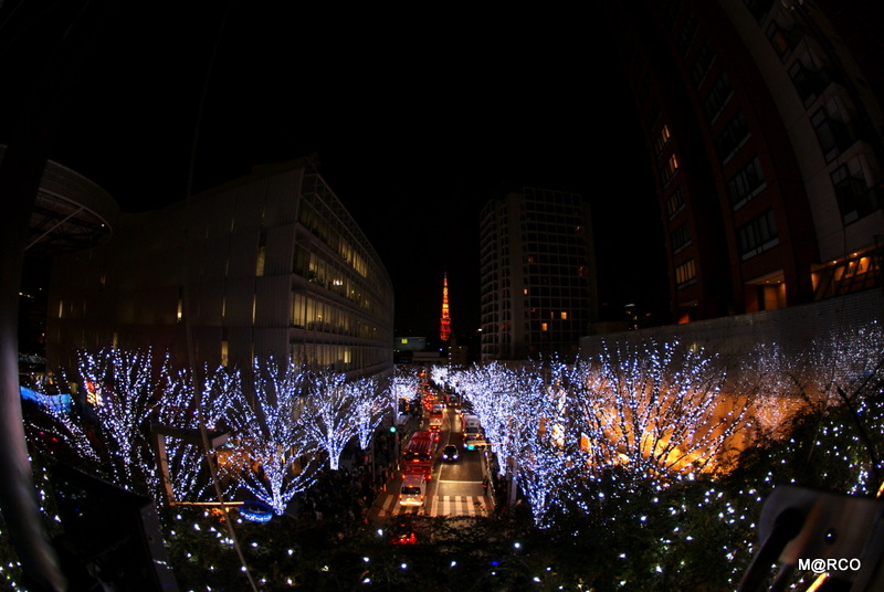c0037611_20504363.jpg