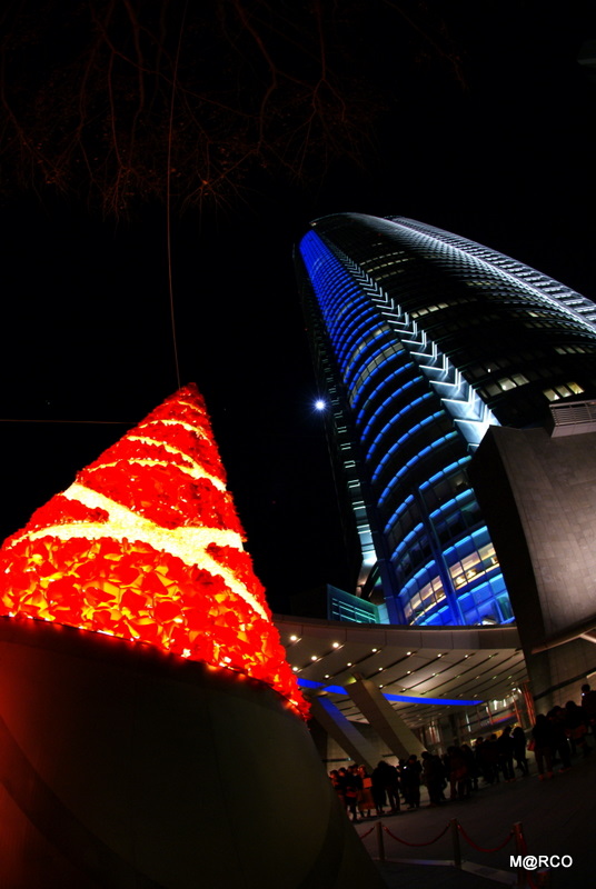 c0037611_2055018.jpg