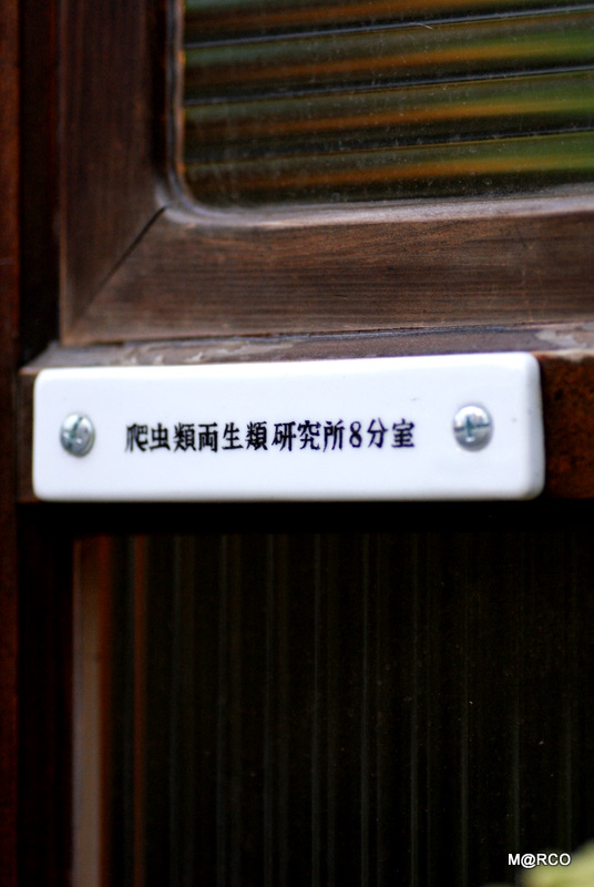 c0037611_2144263.jpg