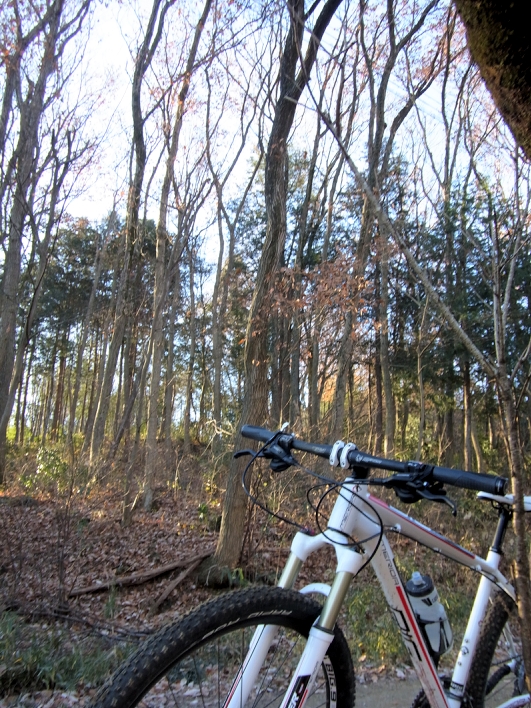 f0178412_17314263.jpg
