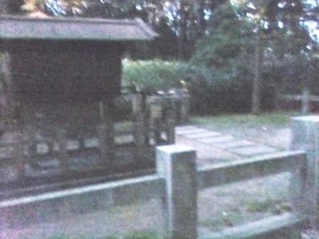 d0007913_193257.jpg