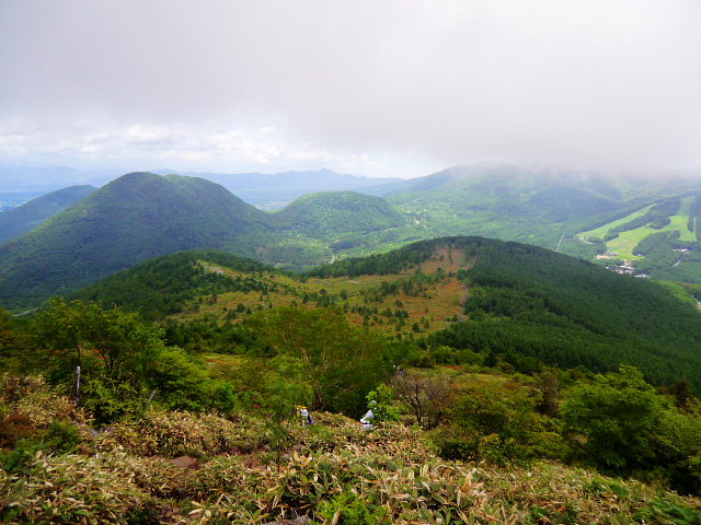 d0170615_1059285.jpg