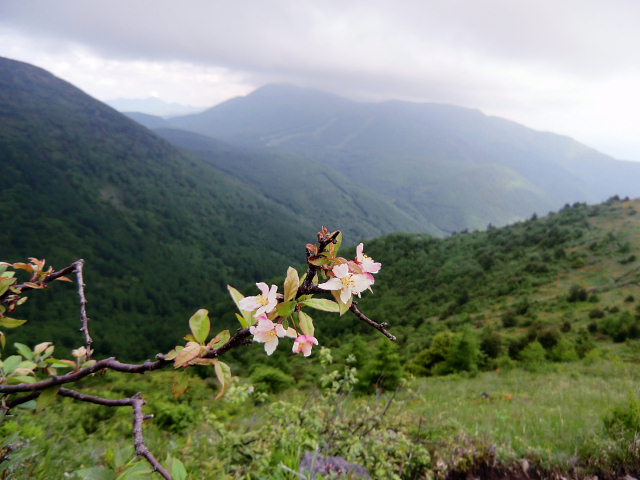 d0170615_10593687.jpg