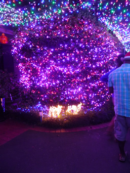 c0013324_1029569.jpg