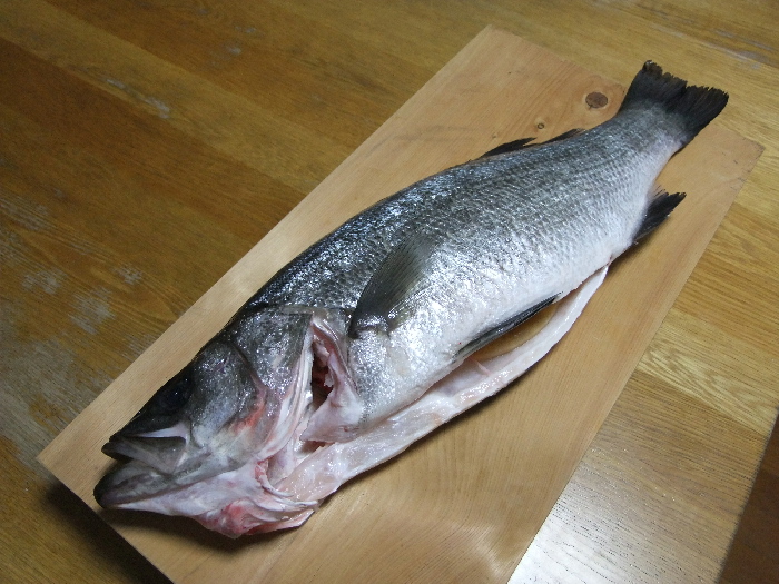 f0103126_1114856.jpg