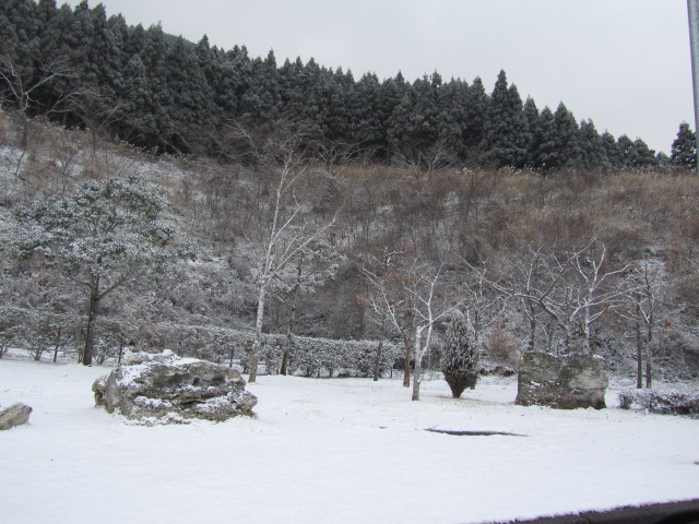 e0107730_055072.jpg