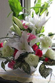 a0059035_1419795.jpg