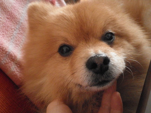 c0141335_16331771.jpg