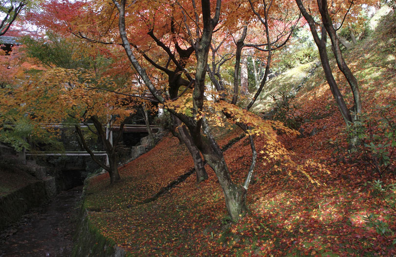 b0042837_432173.jpg