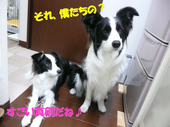 c0147241_20152365.jpg
