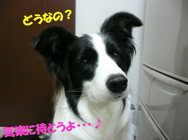 c0147241_20153135.jpg