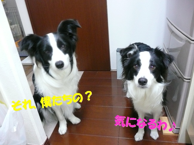 c0147241_2015328.jpg