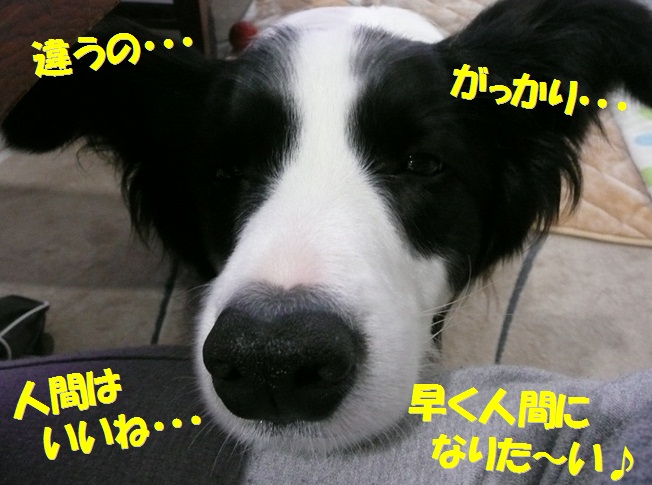 c0147241_2015972.jpg