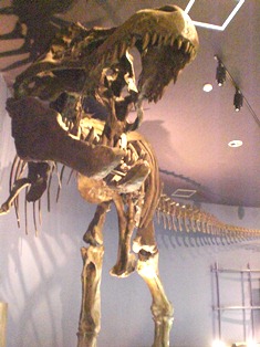 b0199742_1883393.jpg