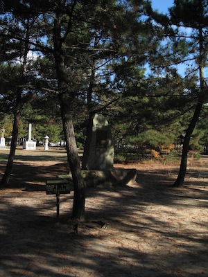 b0081843_16192483.jpg