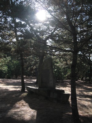 b0081843_16193598.jpg